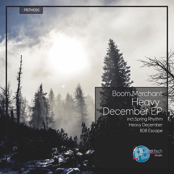 Heavy December - Single