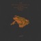 B******t (Bassel Darwish remix) - Archila lyrics
