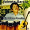 Tarde Inolvidable - Valente Garcia lyrics