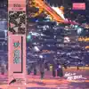 Hello Meteor - Laridae