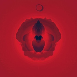 Ice (feat. Bora) Usica