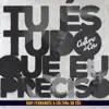 Tu És Tudo Que Eu Preciso - Ao Vivo