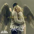 ARIPILE