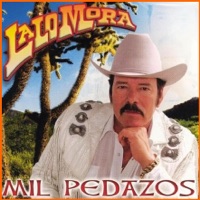 Mil Pedazos - Lalo Mora