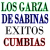 Cumbias (Éxitos)