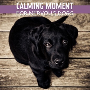 Calming Moment for Nervous Dogs: Relaxing Tracks for Calm Down Your Puppies