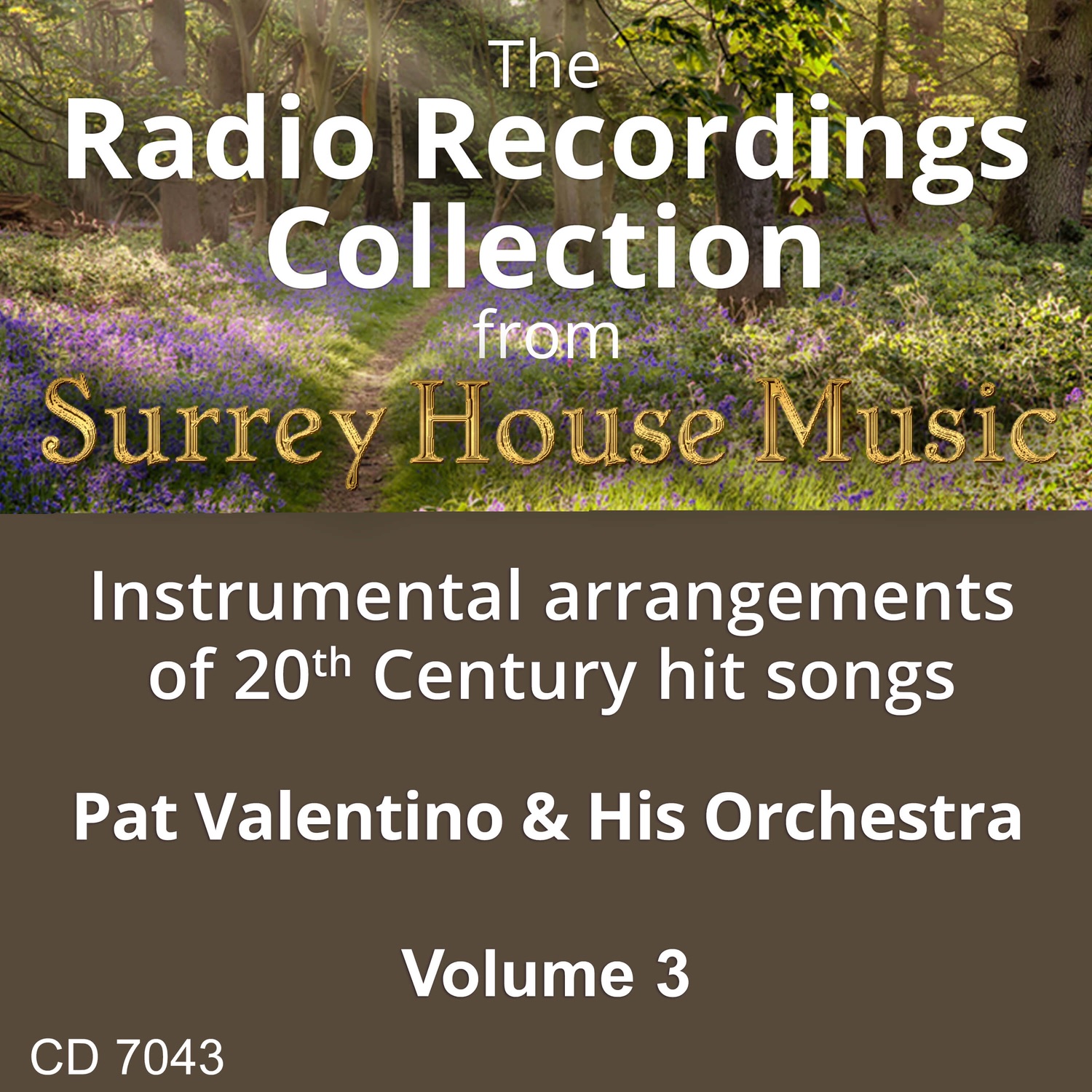 Pat Valentino - After All