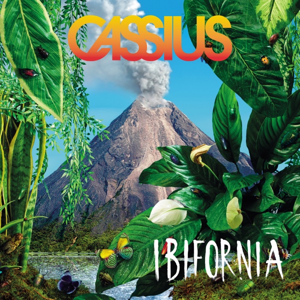 Ibifornia - Cassius