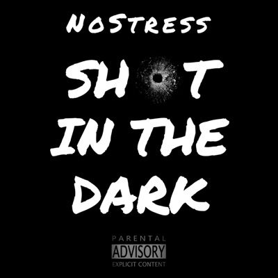Shot in the Dark