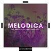 Melodica - (Deep & Melodic Electronic Dance Music), Vol. 1