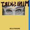 Hello Possums - Single artwork