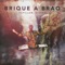 Papillon. Oiseau - Brique a Braq lyrics