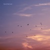 Seventh Sea - Single
