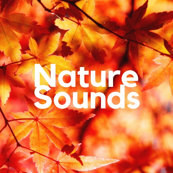 Nature Sounds: Yoga, Relaxation, Music for Inner Peace, Spa Songs for Sleep, New Age Peaceful Music