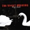 All I Want - The Violet Burning lyrics