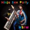 Dinosaur Laser Fight - Ninja Sex Party lyrics