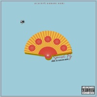 Spanish Fly (feat. Konami Homi) - Single - Acain