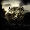 Corvus