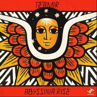 Te'amir - Blue Nile