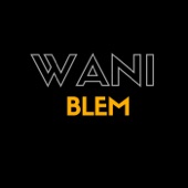 Blem artwork