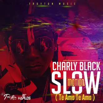 Slow Motion (Te Amo Te Amo) - Single by Charly Black album reviews, ratings, credits