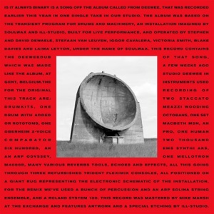 Is It Always Binary (Deeweedub) - Single
