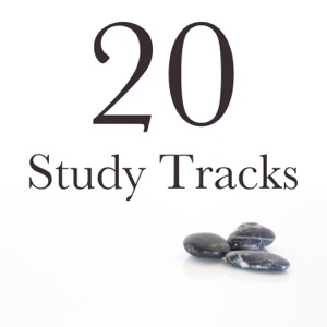 20 Study Tracks - The Perfect Backdrop to Studying or Working, Concentration Music