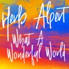 What a Wonderful World - Single