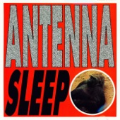 Antenna - Sleep