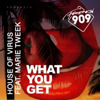 What You Get (feat. Marie Tweek) - Single - House Of Virus