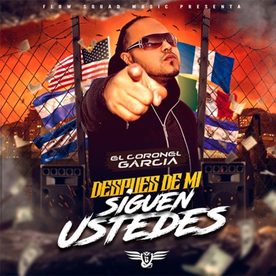 Después de Mi Siguen Ustedes