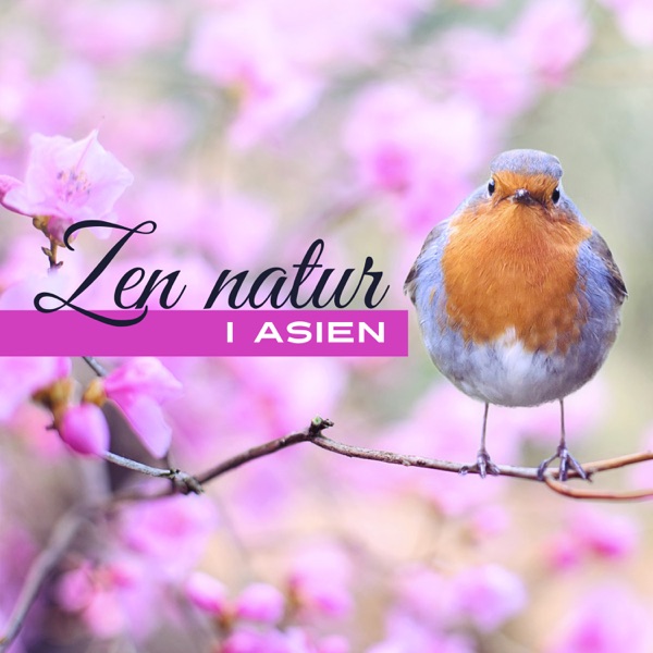 Zen natur i Asien - Fantastiska ljud av naturen för yoga och meditation, lugnande melodier för sömn och studie