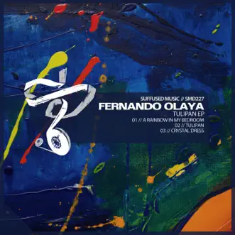 A Rainbow in My Bedroom by Fernando Olaya song reviws