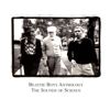 (You Gotta) Fight for Your Right (To Party!) - Beastie Boys