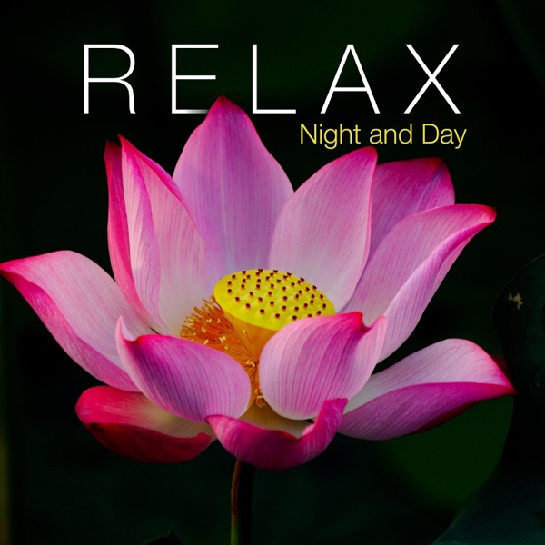 Relax Night and Day - Zen Music for Positive Energy