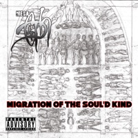Migration of the Soul'd Kind - Megaciph