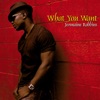 What You Want - Single