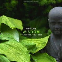 Wisdom - EP - FictiOne