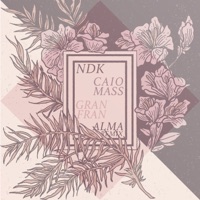 Alma (Remix) - Single - NDK, Caio Mass & Gran Fran