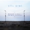 Çöl Gibi (feat. Sibel Gürsoy) - Burak Ekinil lyrics