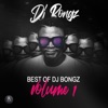 Best of DJ Bongz, Vol.1