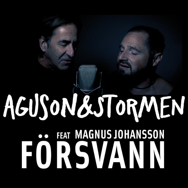 Försvann (feat. Magnus Johansson)