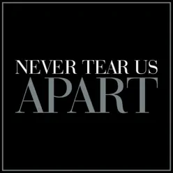 Never Tear Us Apart (Female Version) - Single - The Blue Notes Never Tear Us Apart (Female Version) - Single - The Blue Notes