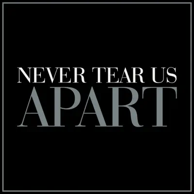 Never Tear Us Apart (Female Version) - Single - The Blue Notes