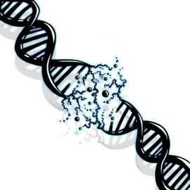 Infinity Mic Torrance