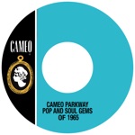 Cameo Parkway Pop and Soul Gems of 1965