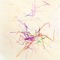 Makeafamily (feat. Time Wharp) - Sir Froderick lyrics