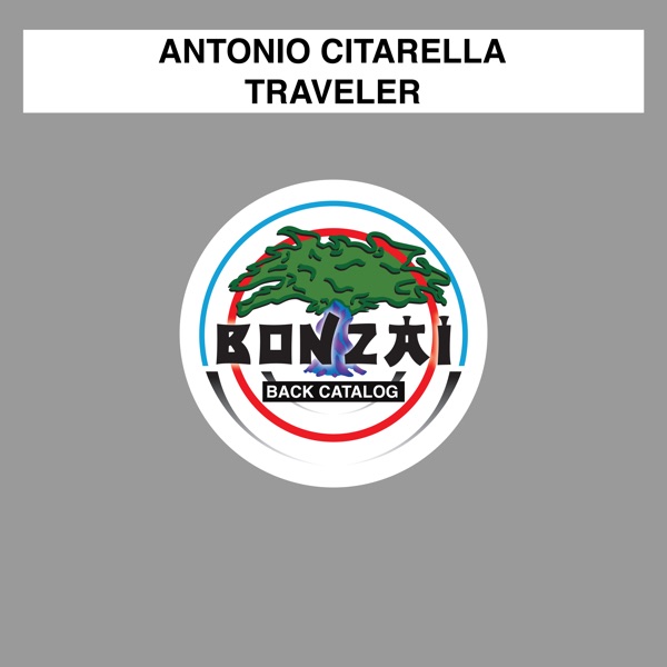 Traveler - Single