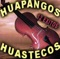 Ya No Te Buscare - Huapangos Huastecos lyrics