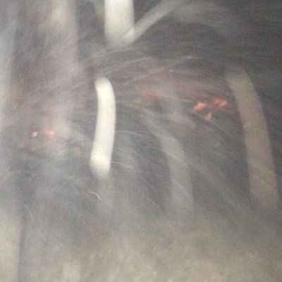 Is This the Best of Me? - Single